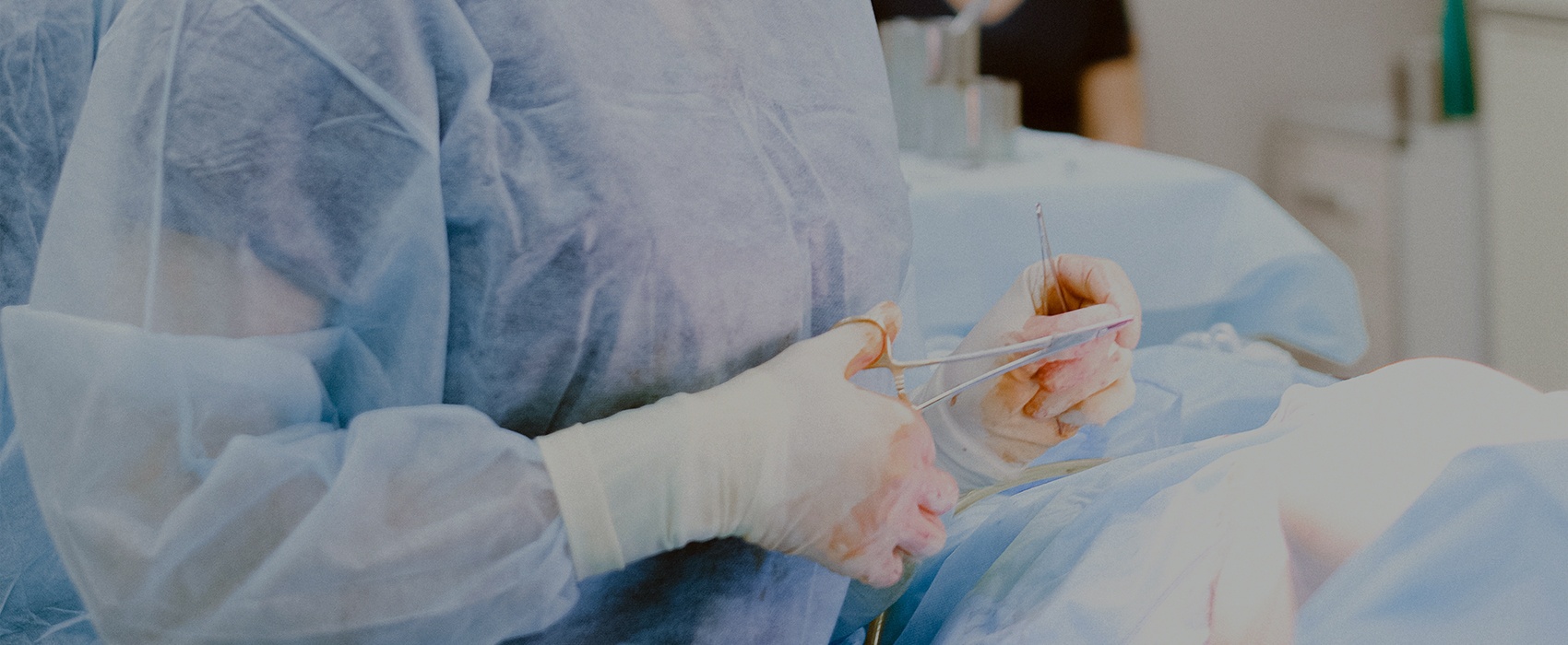 ������ά