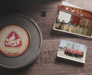 ��������Ƭ