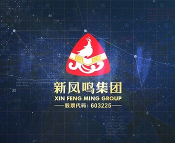 ��Ϣ������Ƭ